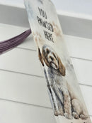 3.0mm Acrolumax clear acrylic with white sublimation reverse  660x380mm